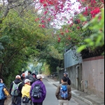 古洞南路 Kwu Tung South Road