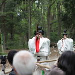 IMG_8949.JPG