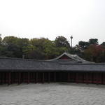 昌德宮一景