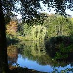 P1020270.JPG