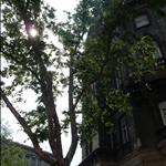 P1010584.JPG