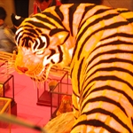 DSCN0314.JPG