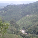 Munnar - South India