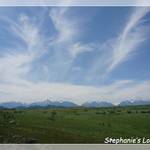P1230310_Frame(trans_whiteline).JPG