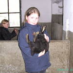 BILD0686.JPG