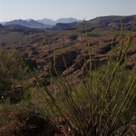 IMG_0914.jpg