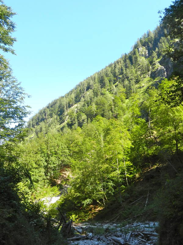 DSCN1762.JPG