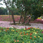 Taipei International Flora Exposition 台北花博