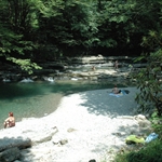 Korita