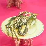DSCN0301.JPG