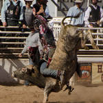 Cave Creek Rodeo 4-1-12 327.jpg