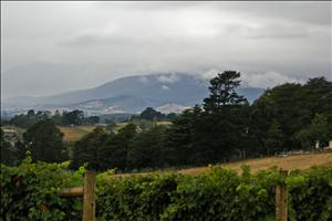 DSCN2620.jpg