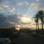 IMG00010-20110110-1704.jpg