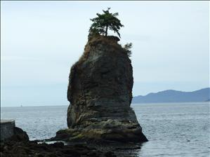 DSCF0809.JPG