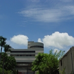 20100614蘋果焗烤
