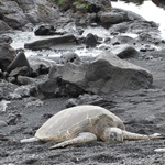 Puhulu Black Sand Beach
