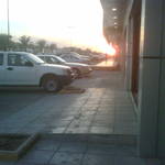 IMG01094-20101229-1706.jpg