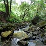 Stream 牛寮坑上遊山澗
