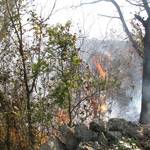 .. passed a forest fire.