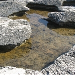 sardegna 075.jpg