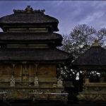 _MG_8673.jpg