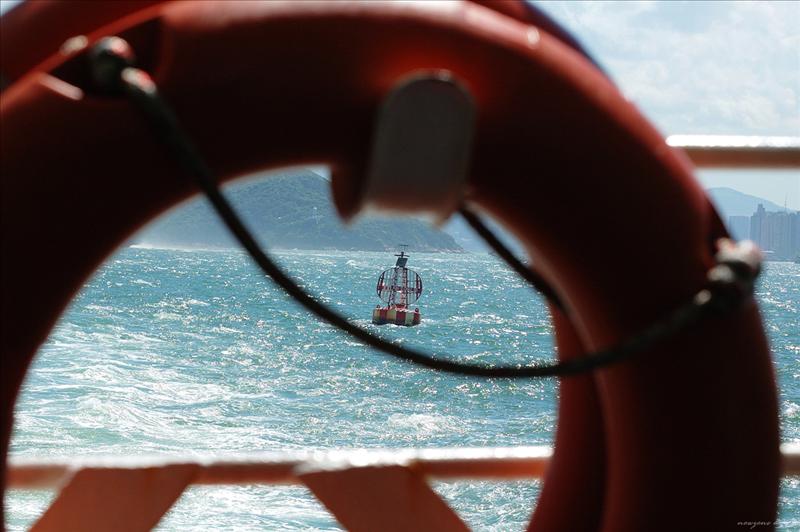 DSC_2955.jpg