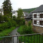 P1010157.JPG