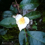DSC00032.JPG