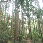 加里山 (45).JPG