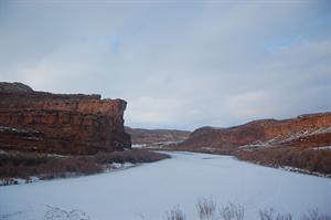 DSC_0170.JPG