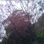 DSC08470.JPG