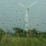 20100724雨天雜拍