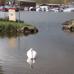 DSCF0663.JPG