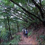 DSC_5442 Pak Shek Kiu Trail白石橋徑.jpg