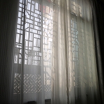 P1000851.JPG