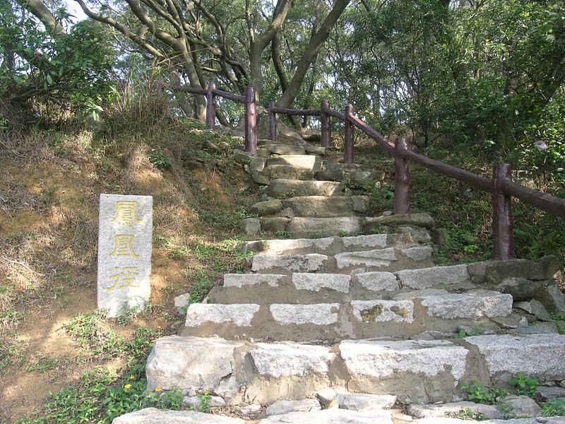 DSCN4674.jpg