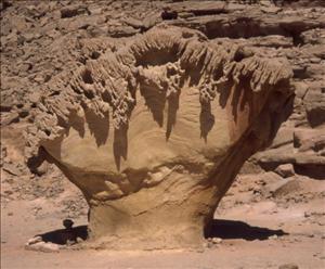 SINAI DESERT