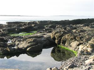 IMG_0058.JPG