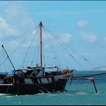 DSC_2973.jpg