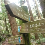 加里山 (31).JPG