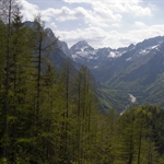 DSC_0333_3430.jpg