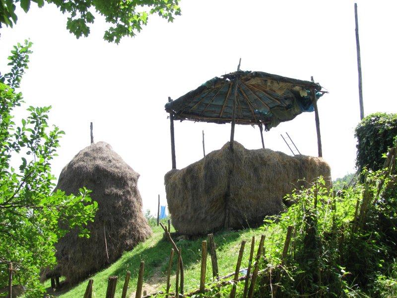 Farming is not yet modernised.