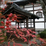 2009Autumn