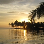 IMG_2678.JPG
