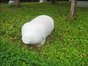 Piggy in the Park