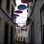 Hand decorated umbrellas were part of the street art.