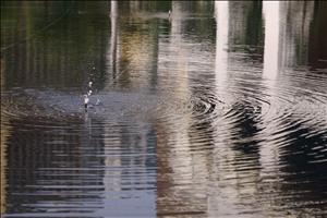IMG_8458.JPG