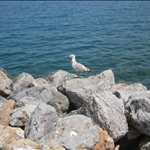 argentario con Aleksandra (17).jpg