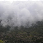 n1479951122_61733_6045.jpg