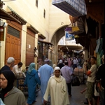 FES